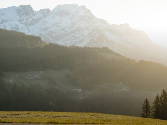Jack wolfskin jacke fleece - Unsere Produkte unter der Menge an Jack wolfskin jacke fleece