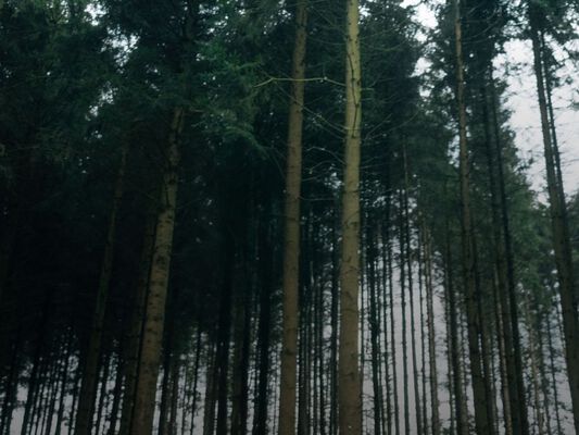 Worauf Sie zu Hause beim Kauf der Jack wolfskin strickjacke Aufmerksamkeit richten sollten