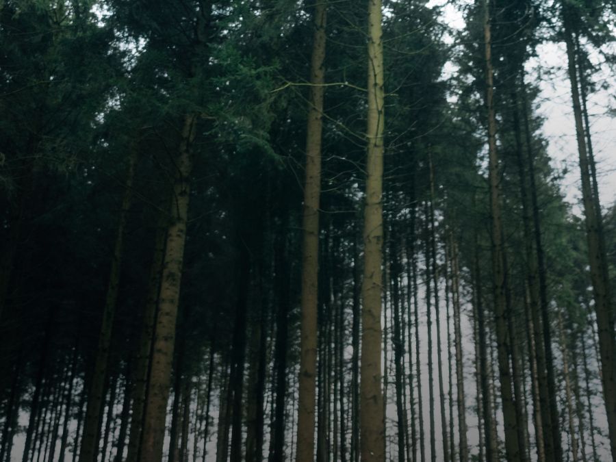 M&auml;nner Freizeithosen