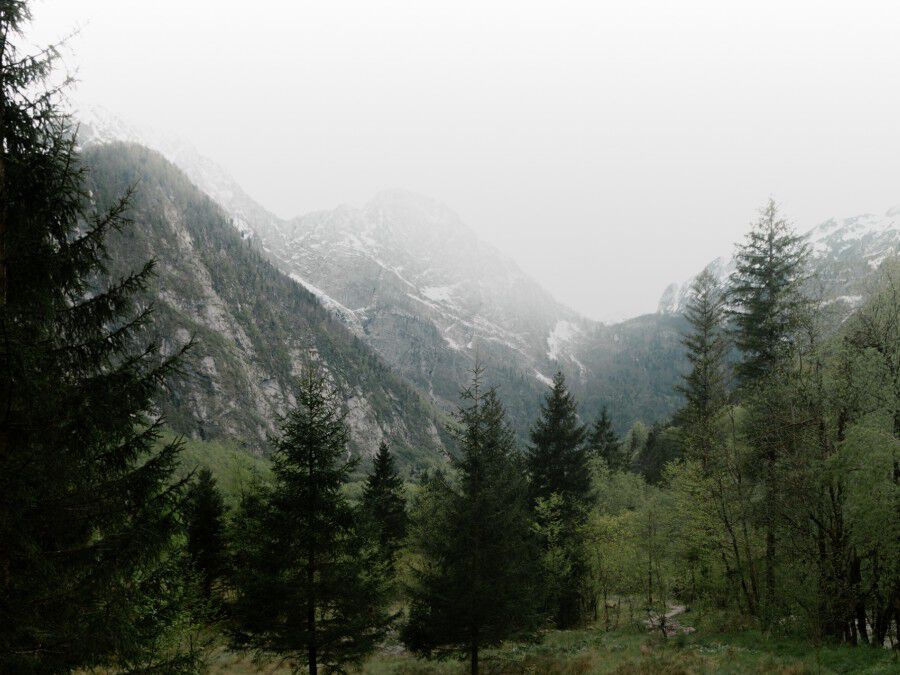 M&auml;nner ASI Approved Products