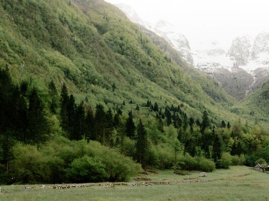Jack wolfskin jacke damen 3 in 1 - Der Testsieger