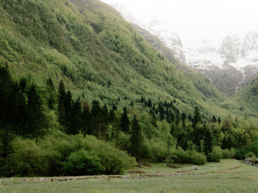 M&auml;nner ASI Approved Products