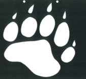&quot;Bear Community&quot;