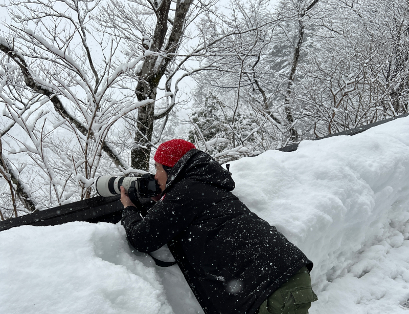 Yuto fotografiert im Schnee
