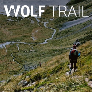 Kategoriebild für Wolf Trail