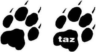 &quot;taz&quot;