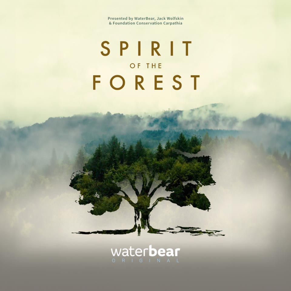 Jetzt auf WaterBear: <br>Spirit of the Forest